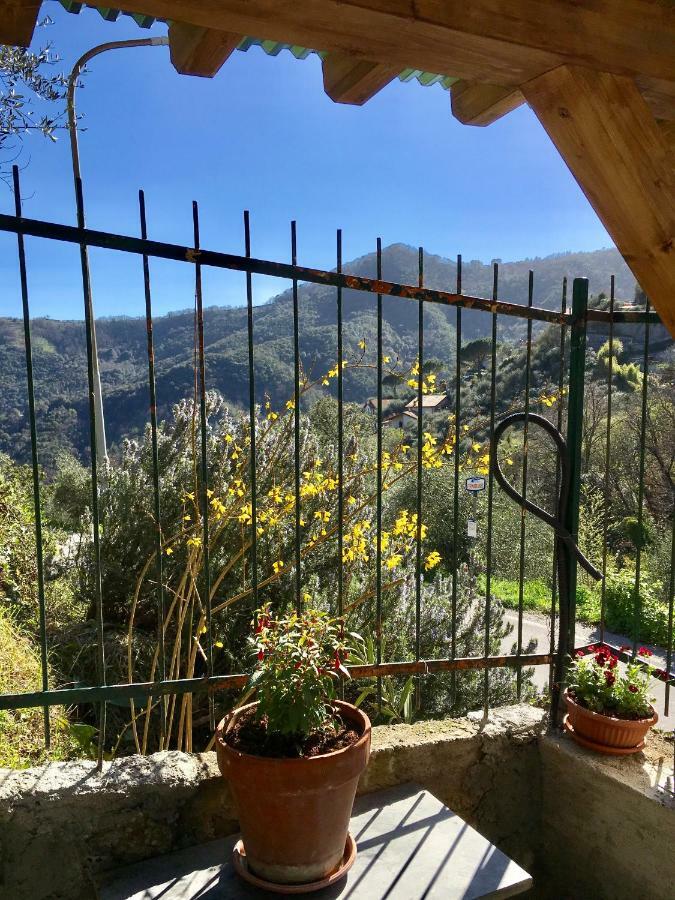 Il Nido Della Rondine Bed & Breakfast Leivi Exterior photo